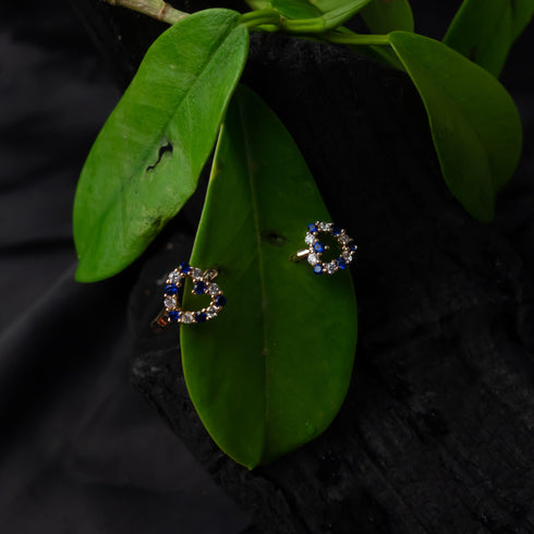 Charm Crystal Heart Earring - D125A